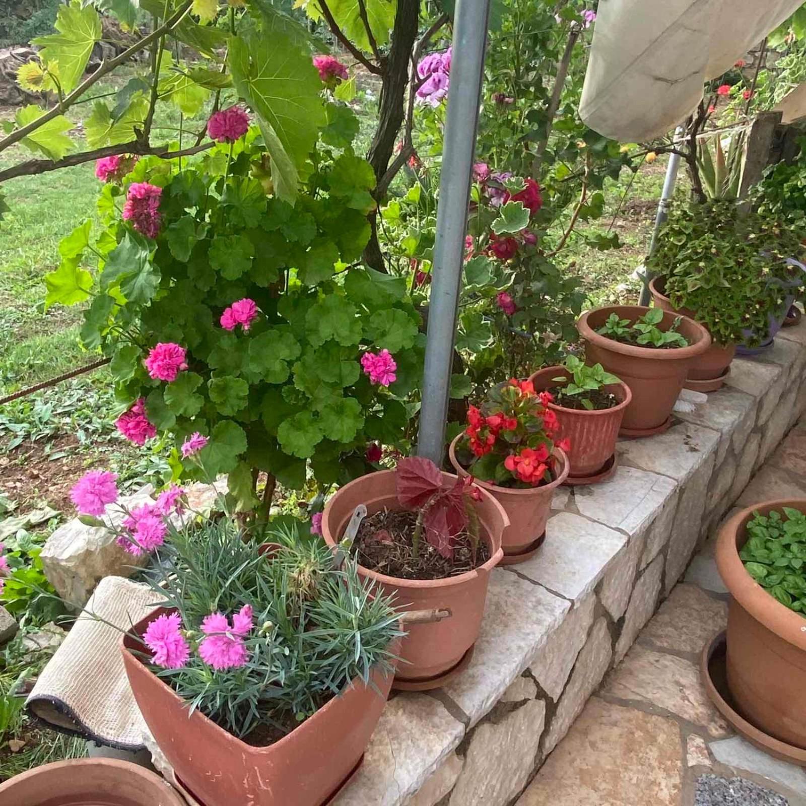 Ilias Family Rooms Χειμάρρα Εξωτερικό φωτογραφία